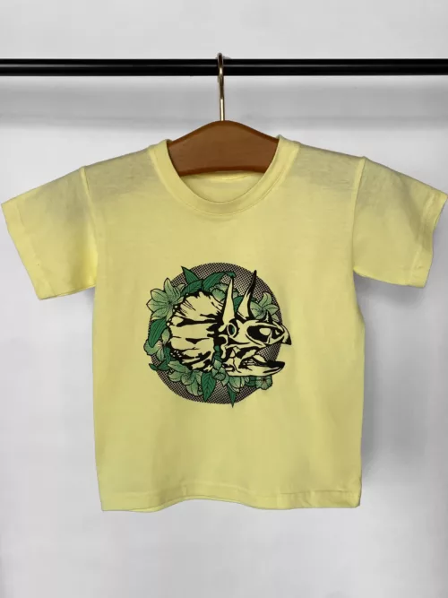 T-shirt enfant motif "Dinoflore"